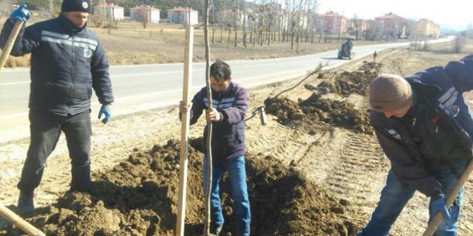 Simav Belediyesinden ‘Fidan Dikimi’ Seferberliği