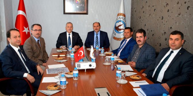 Bal Arısı Ölümlerine Çare Arayışları Sürüyor