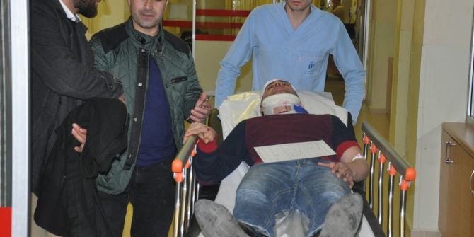 Köpek Leşine Çarpmamak İçin Takla Attı