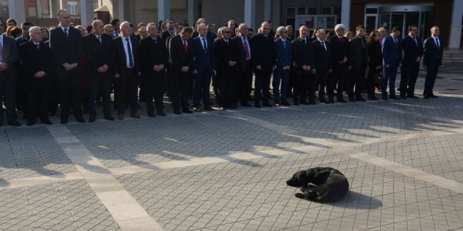 Kutlama Töreninde Davetsiz Misafir