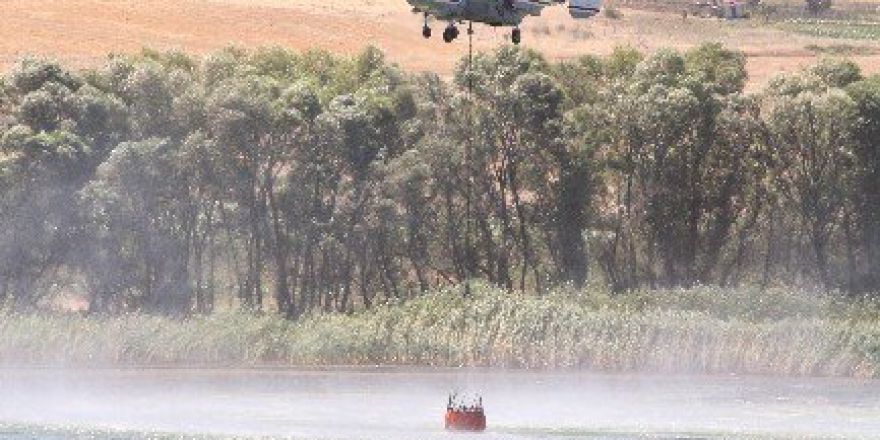 Bursa’da Orman Yangını