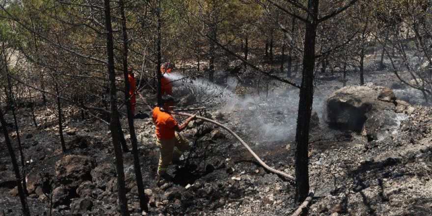 Mersin’de Orman Yangını
