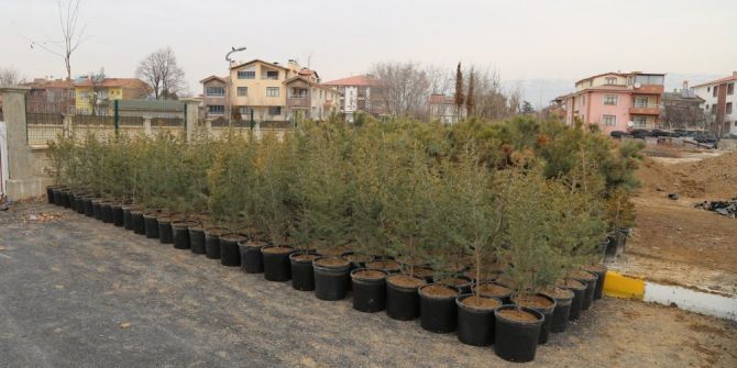 10 Bin Fidan Toprakla Buluşmayı Bekliyor