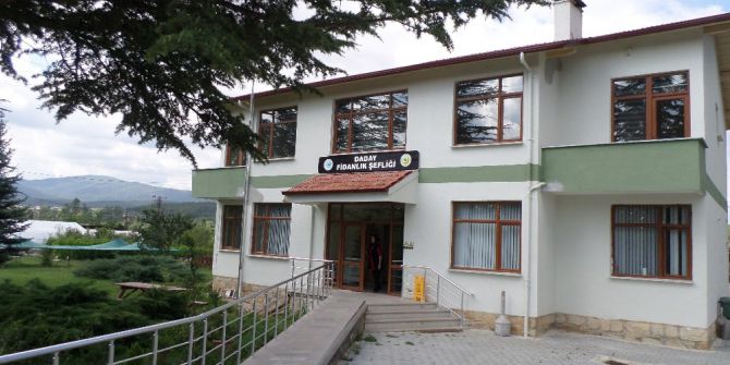 Daday’da Fidanlık Yenileme Çalışmaları Sona Erdi