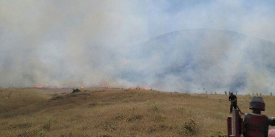 80 Dönüm Arazi Kül Oldu