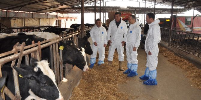 Hayvan Hastalıkları İle Mücadele Sezonu Başladı