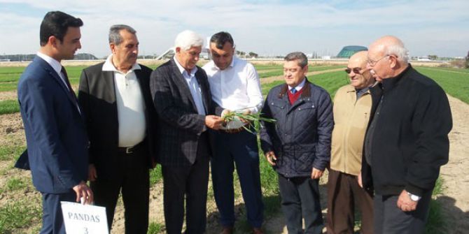 ‘Antalya Buğdayını Arıyor’ Projesi