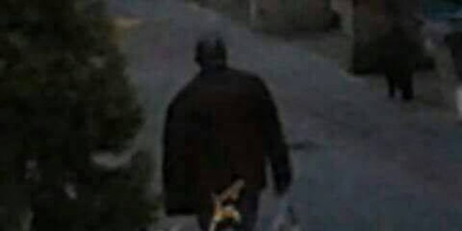 Kedi Ölümleriyle İlgili Bir Kişi Gözaltına Alındı