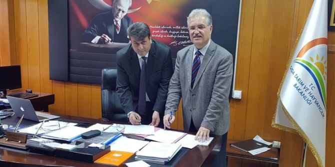 Aydın’da Büyükbaş Hayvanların Küpelenmesi İçin Protokol İmzalandı