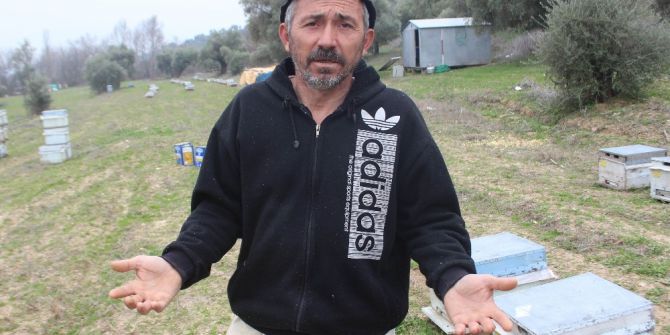 Böyle Kin Görülmedi