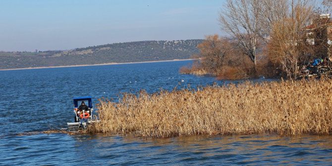 Gölyazı Sazlıklardan Temizleniyor