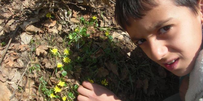 Cemre Düştü, Kır Çiçekleri Açtı