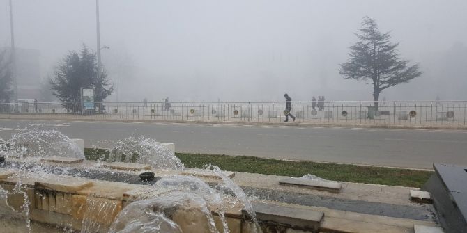 Düzce Sis Etkili Oluyor