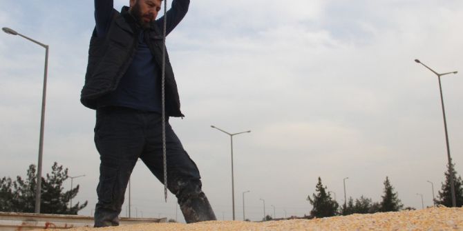 Polis, Mısır Yüklü Tırlarda Şişle Kaçak Akaryakıt Aradı