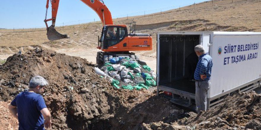 Siirt’te Bin 600 Kilo Et İmha Edildi