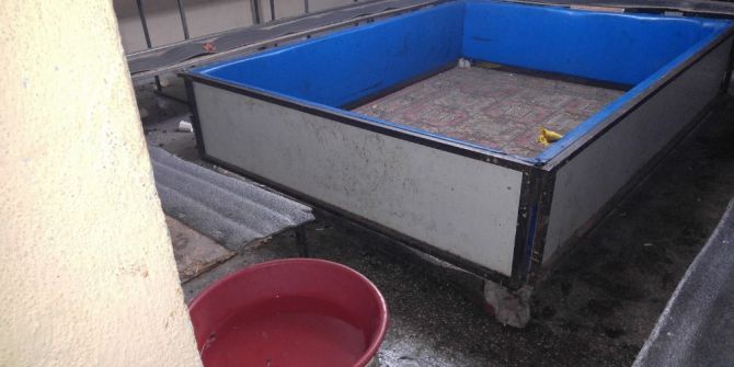 Uşak’ta Horoz Dövüşü Baskını