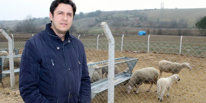 Kuzuları Anne Sütü Hayatta Tutuyor