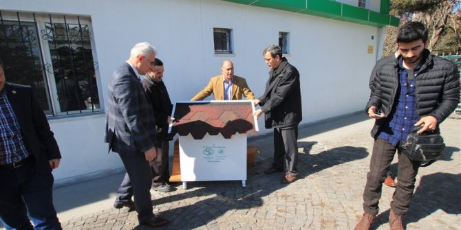 Kedilere Sıcak Yuva