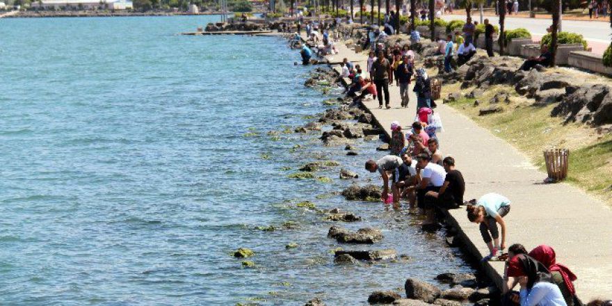 Vatandaşlar Sahillere Akın Etti