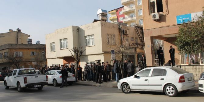 Siirt’te 6 Aylık İş İzdihamı