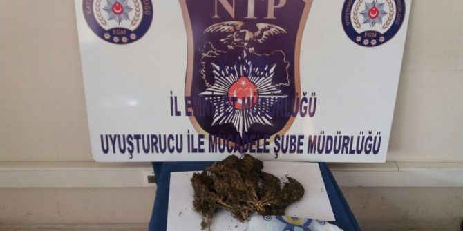Zehir Tacirleri Yakalandı