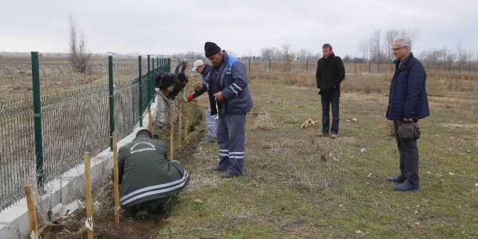 650 Fidan Toprakla Buluştu