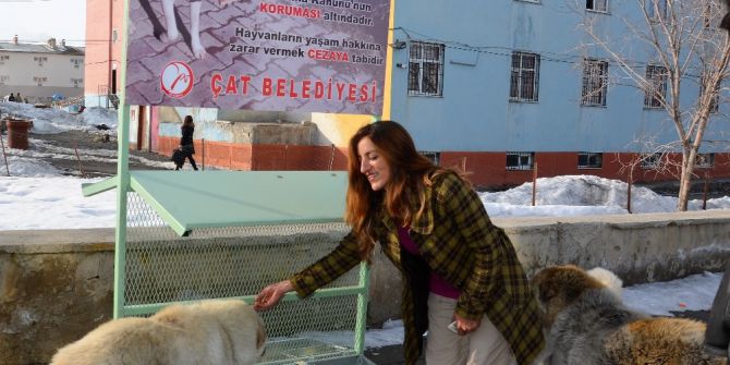Çat Belediyesinden Sokak Hayvanları İçin Mama İstasyonu