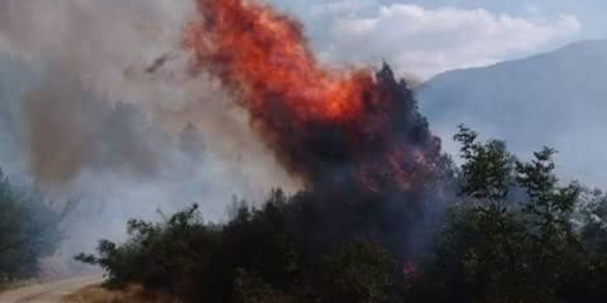 Kastamonu’da 4 Samanlık Ve 50 Dönümlük Ekili Tarım Arazisi Yandı