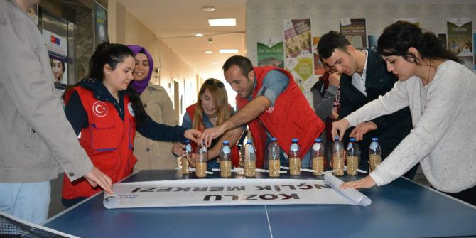 Kozlu Gençlik Merkezi Ve Gönüllü Gençler Doğaya Ve Kuşlara Sahip Çıkıyor