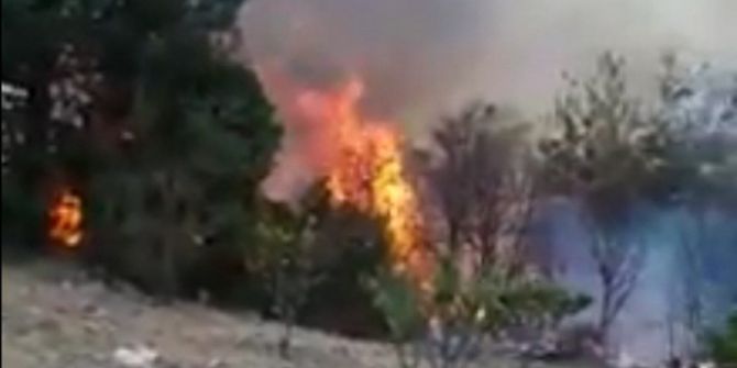 Payas’ta Orman Yangını