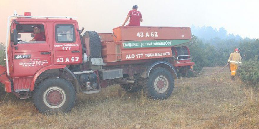 Tavşanlı’da Orman Yangını