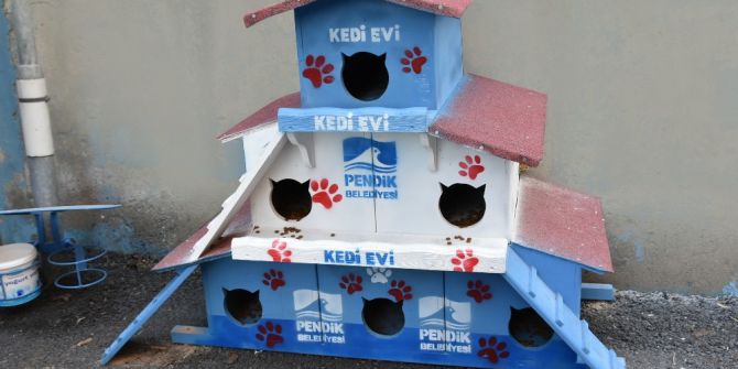 Pendik Belediyesinden Okula Kedi Apartmanı