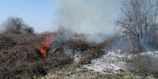 Çalılık Yangını İtfaiye Ekiplerince Söndürüldü