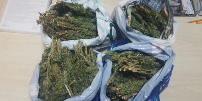 Manavgat’ta Uyuşturucu Operasyonları