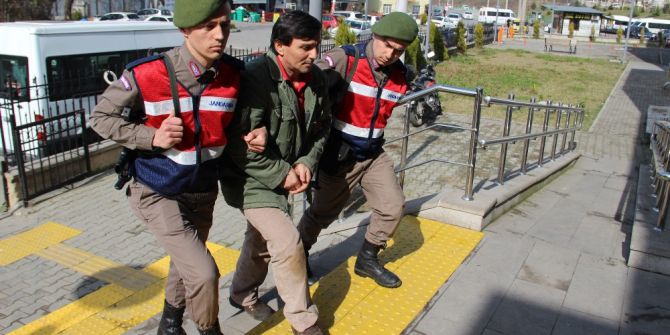 Depo Hırsızı Jandarma Tarafından Yakalandı