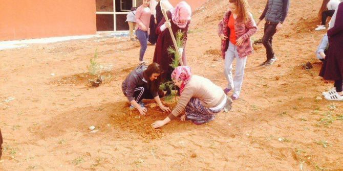 Gençlik Merkezi Gönüllüleri Kız Yurdu Bahçesinde Fidan Dikti