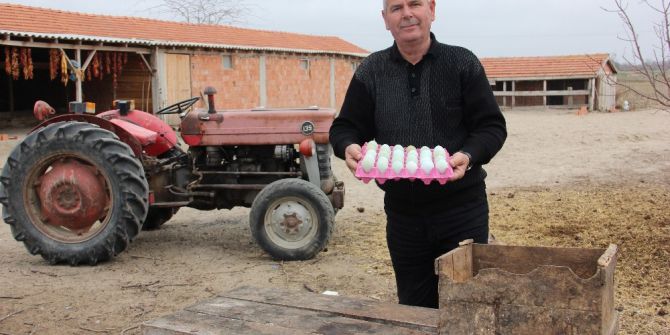 Bıldırcın Yumurtası ‘Out’, Yeşil Yumurta ‘İn’