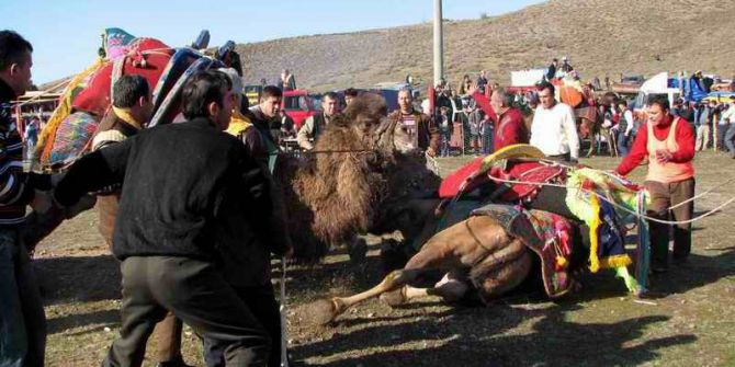 Develer Depremzedeler İçin Güreşecek