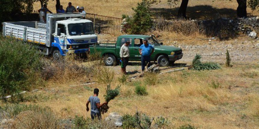 Söke’de Hazine Arazisini İzinsiz Kullanıma Geçit Yok