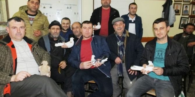 Burhaniye’de Mezat Güvercin Meraklılarını Buluşturdu