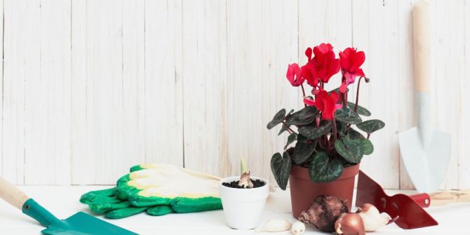 Minikler Çiçek Dikimini Öğrenecek