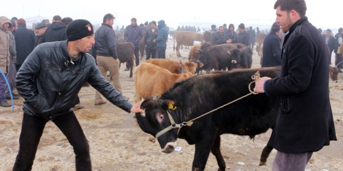 Ağrı Hayvan Pazarı’ndan Türkiye’nin Her Yerine Hayvan Sevkıyatı
