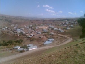 Muş Aligedik Köyü