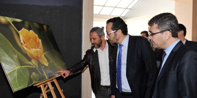 Kampüsün Renkleri Sergisi Devam Ediyor