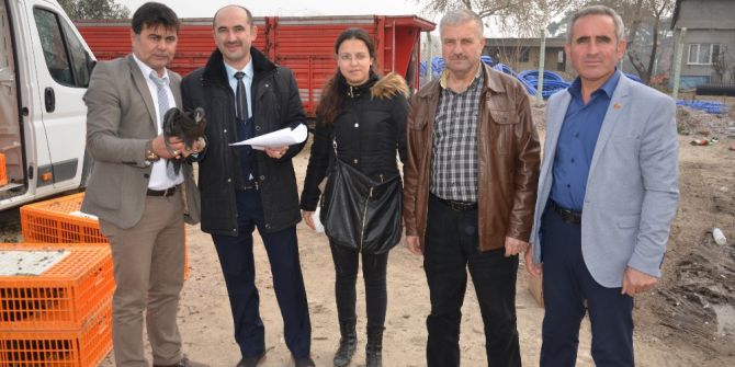 Soma Ziraat Odası’ndan Yumurta Tavuğu Hizmeti