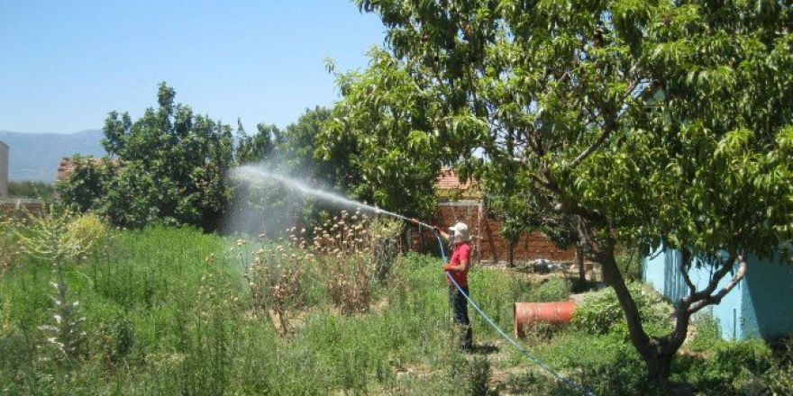 Turgutlu’da İlaçlama Çalışmaları Aralıksız Sürüyor