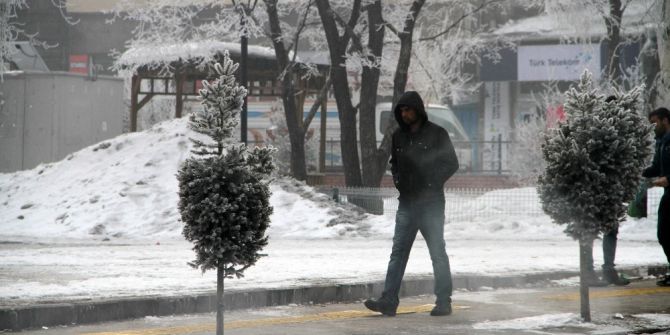 Ardahan’da Kırağı Tutan Ağaçlar Beyaza Büründü