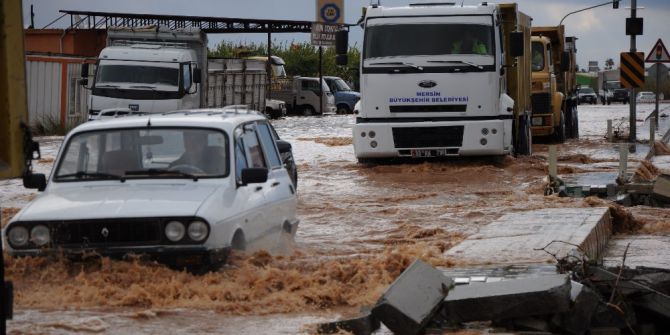 Sele Meydan Okudular
