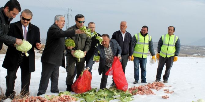 Yaban Hayvanlarına Yem Bırakıldı