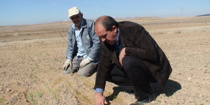 Konya Ovasında Buğdaylar Yeşermeye Başladı